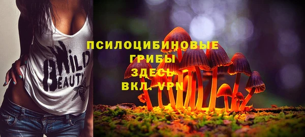 PSILOCYBIN Белокуриха